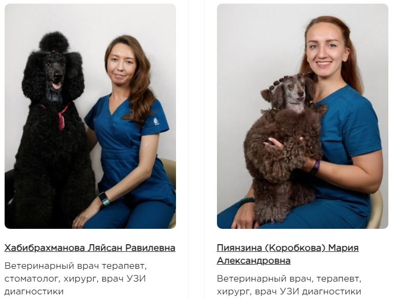 Специалисты клиники со своими питомцами
