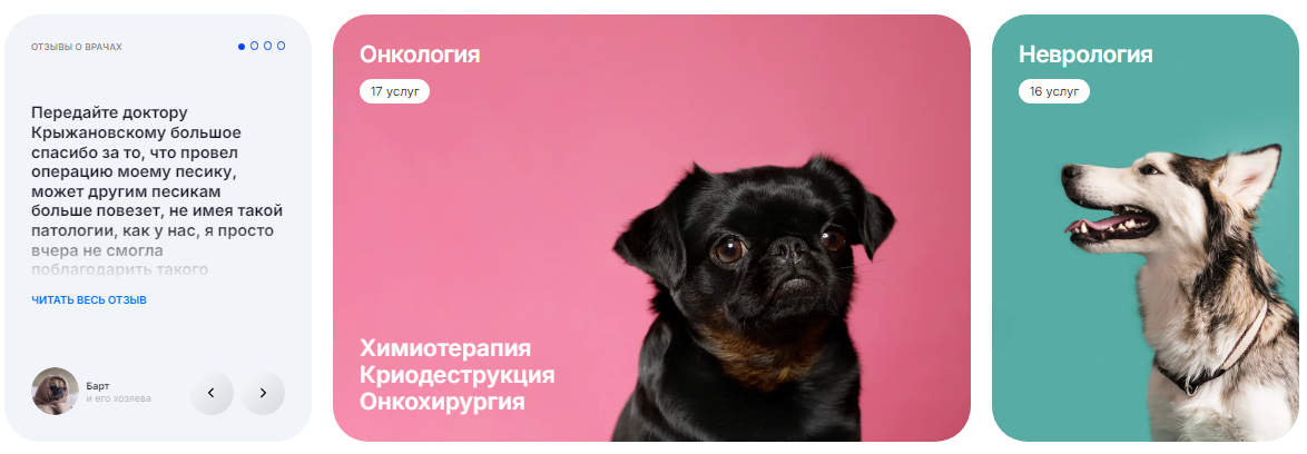 Инструменты рекламы ветеринарной клиники