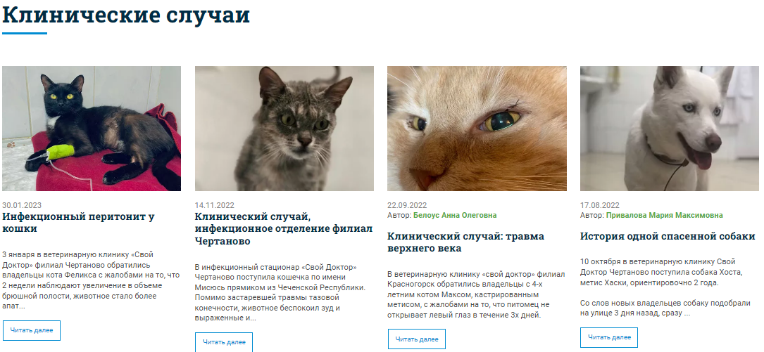 Продвижения ветеринарной клиники